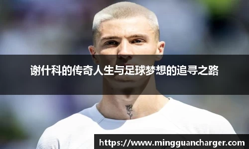 谢什科的传奇人生与足球梦想的追寻之路